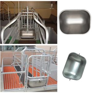 Comedouro para porcas com aço inoxidável